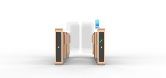 Guter Preis Airport  Full Height  AB Swing Turnstile Gate Security Entrance With Gloden Color Online