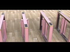 Schwenktür-Drehkreuz